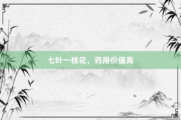 七叶一枝花，药用价值高