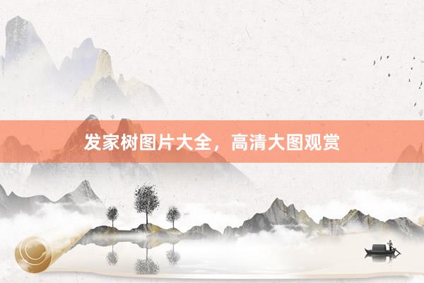 发家树图片大全，高清大图观赏