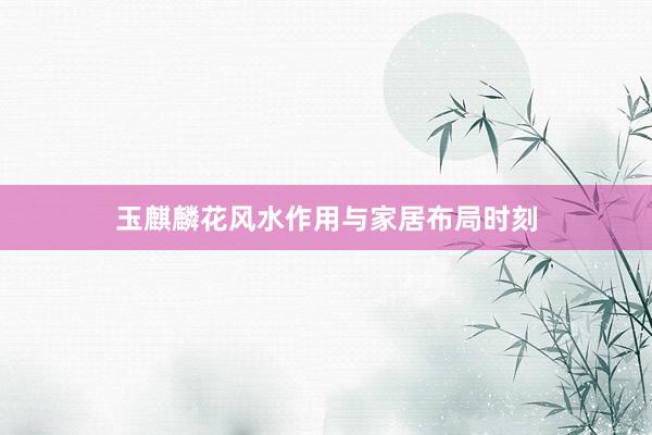 玉麒麟花风水作用与家居布局时刻